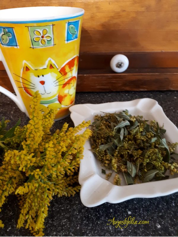 wildcraft goldenrod herbal tea